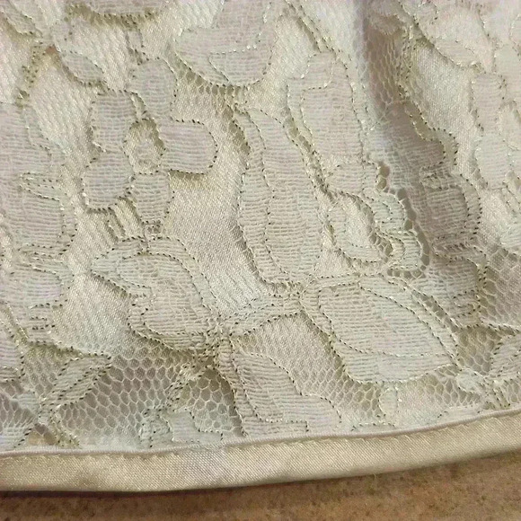 Sweet Heart Rose Lace Layered Dress - Picture 10 of 10